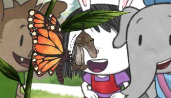 Elinor Wonders Why - Butterflies Babies / Elinor's Circus