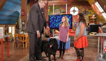Finding Stuff Out With Zoey - E6 - Dogs, Dogs, Dogs