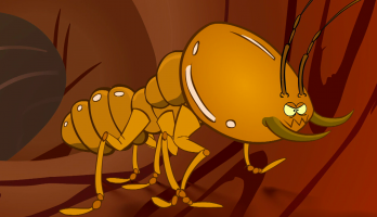 I'm a Creepy Crawly - E113 - Termite