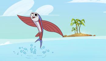 I'm a Fish - E32 - I'm a Flying Fish