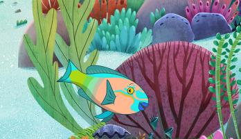 I'm a Fish - E45 - I'm a Parrotfish
