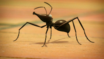 Minuscule - S1E2 - Ants
