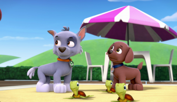 Paw Patrol - S1E102 - Pups Save the Sea Turtles/Pups and the Very Big Baby