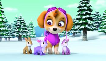 Paw Patrol - S2E223 - Pups Save a Snowboard Competition/Pups Save Save a Chicken of the Sea