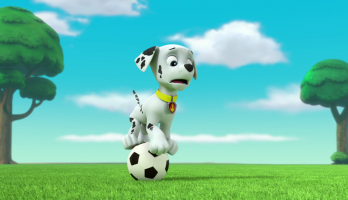 Paw Patrol - S3E303 - Pups Save the Soccer Game/Pups Save a Lucky Collar