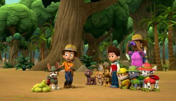 Paw Patrol - S5E10 - Pups Save the PawPaws/Pups Save a Popped Top