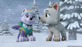 Paw Patrol - S6E19 - Pups Save a White Wolf/Pups Save a Wrong Way Explorer