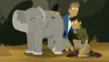 Wild Kratts - S1E17 - Elephant In The Room
