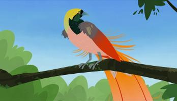 Wild Kratts - S1E38 - Birds of a Feather