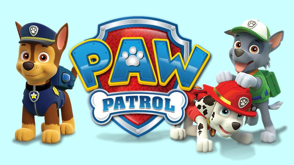 Paw Patrol | Knowledge Kids